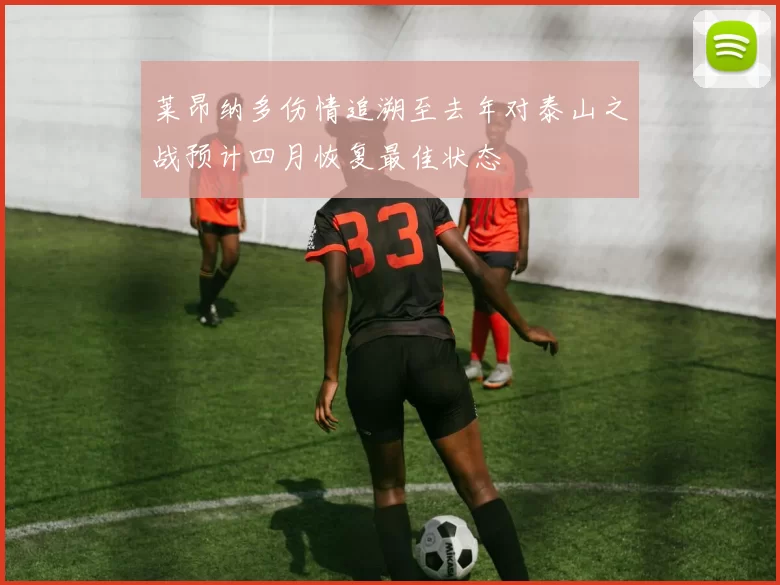 莱昂纳多伤情追溯至去年对泰山之战预计四月恢复最佳状态