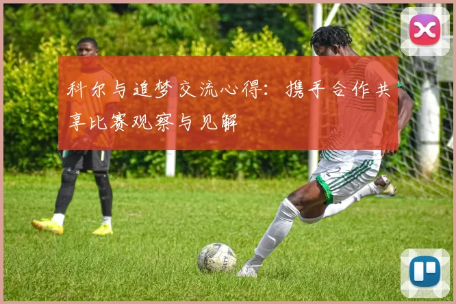 科尔与追梦交流心得：携手合作共享比赛观察与见解
